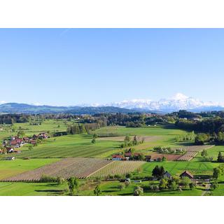 Smartbox  Vol privé en montgolfière d'1h30 dans le Toggenburg pour 5 personnes - Coffret Cadeau 