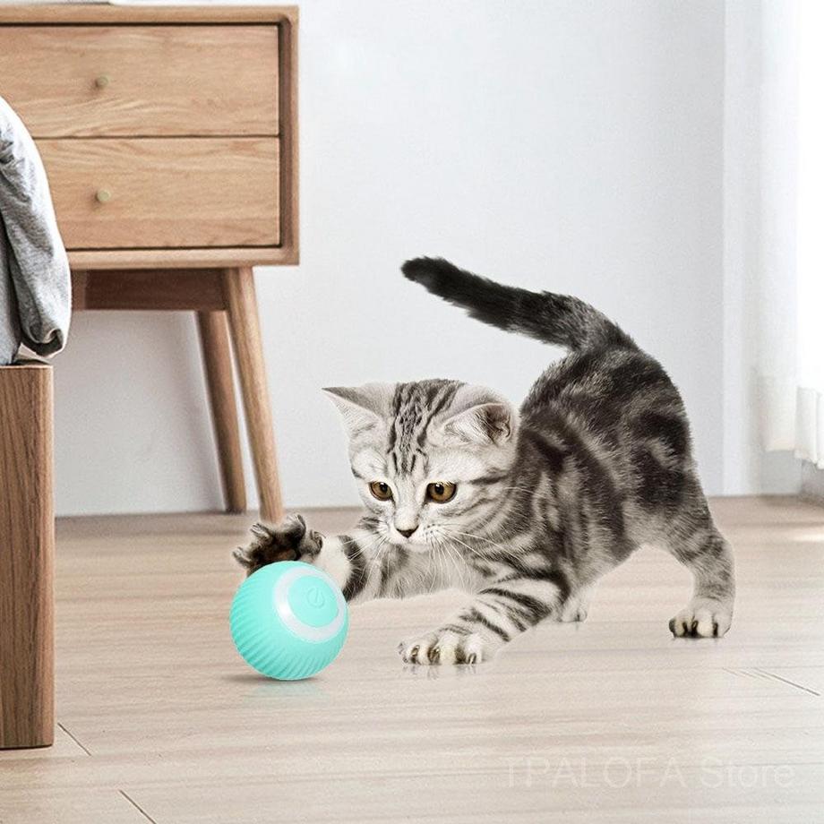 eStore  Jouet Balle pour Chat, Rechargeable - Turquoise 
