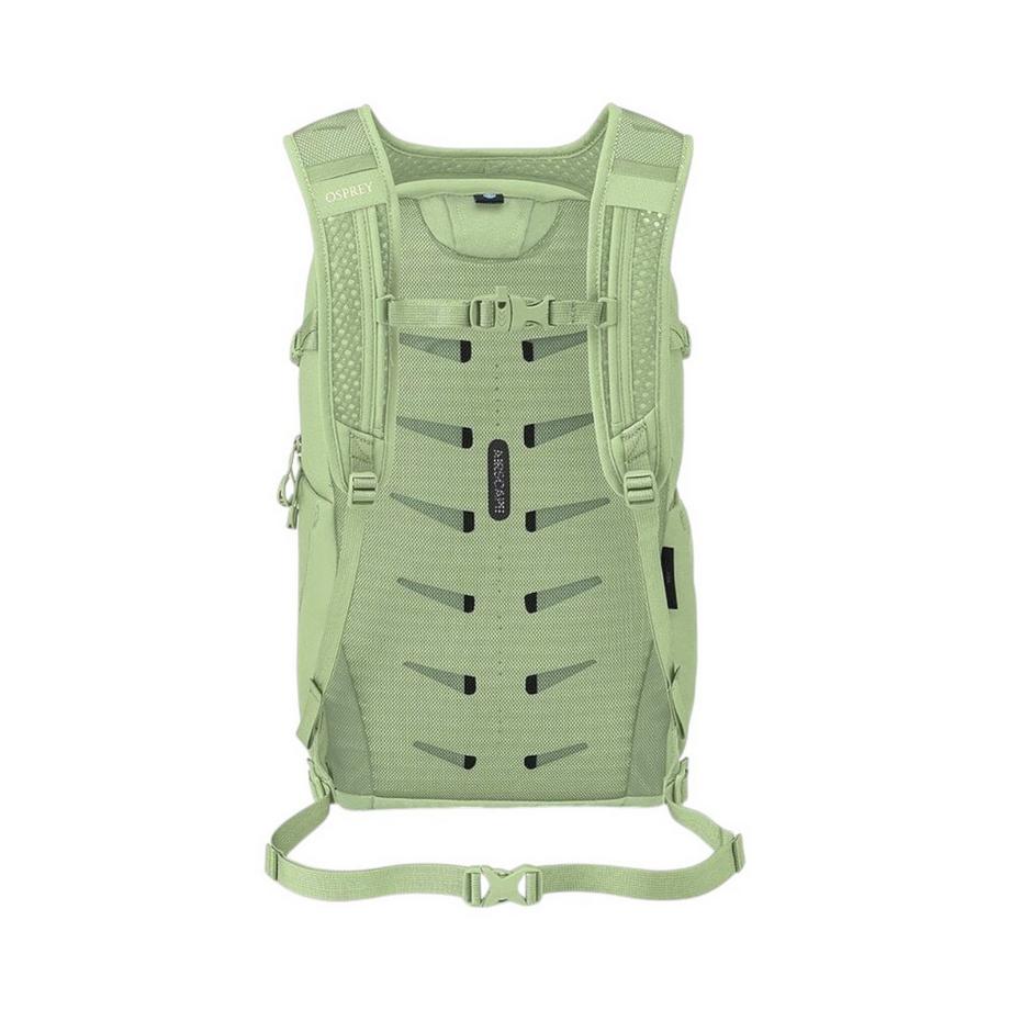 Osprey Daylite Plus Sac à dos Pistache  