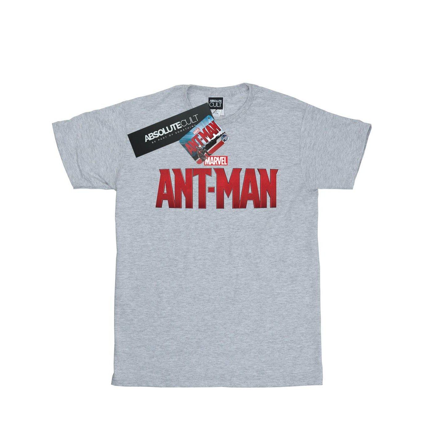 Image of Antman Movie Logo Tshirt Herren Grau XL
