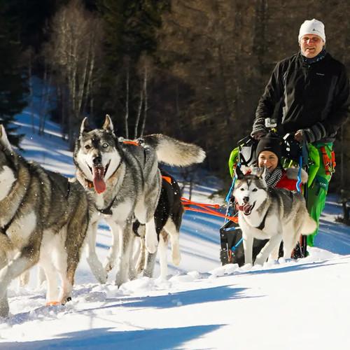 Image of Huskyschlittenfahrt Saas-almagell (für 2 Personen) Unisex