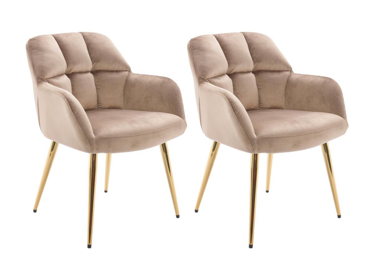 PASCAL MORABITO Lot de 2 chaises avec accoudoirs - Velours et métal doré - Beige - PEGA de Pascal MORABITO  