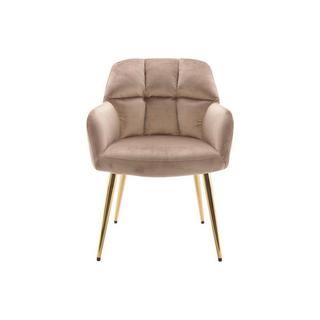 PASCAL MORABITO Lot de 2 chaises avec accoudoirs - Velours et métal doré - Beige - PEGA de Pascal MORABITO  