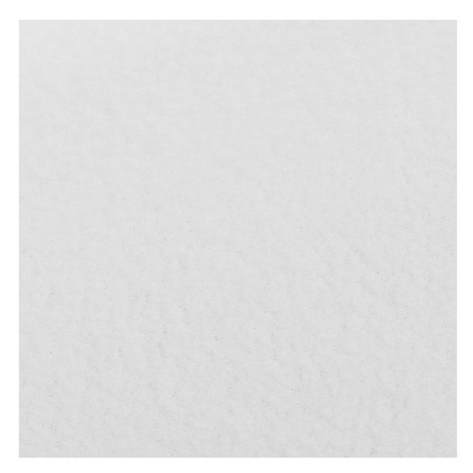 WESTCOTT  Westcott 0139 schermo da sfondo Bianco Poliestere 