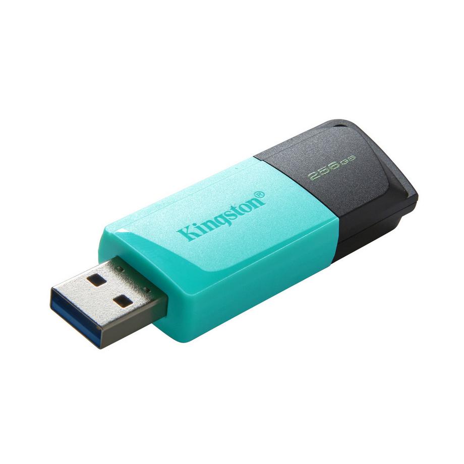 Kingston  Kingston DataTraveler Exodia M - Unità flash USB 3.2 da 256 GB 