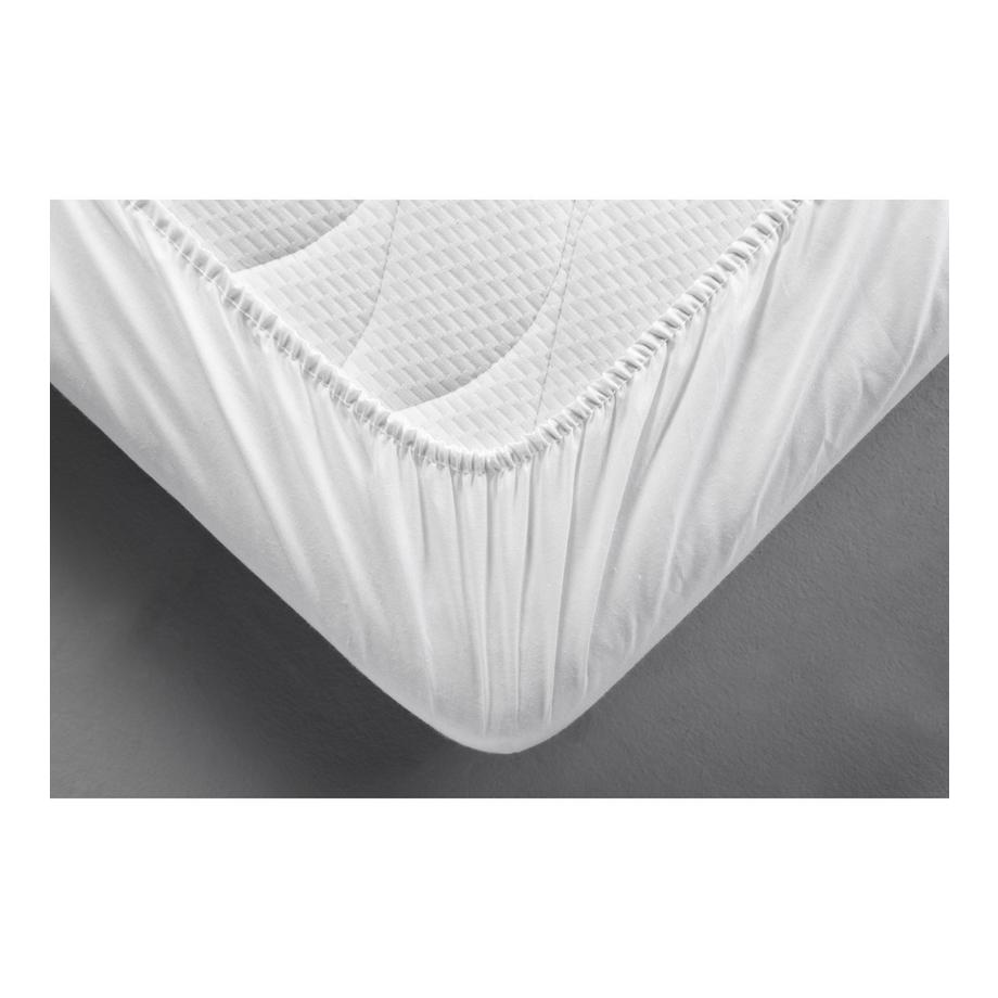 DORMISETTE Fixmolton Standard  