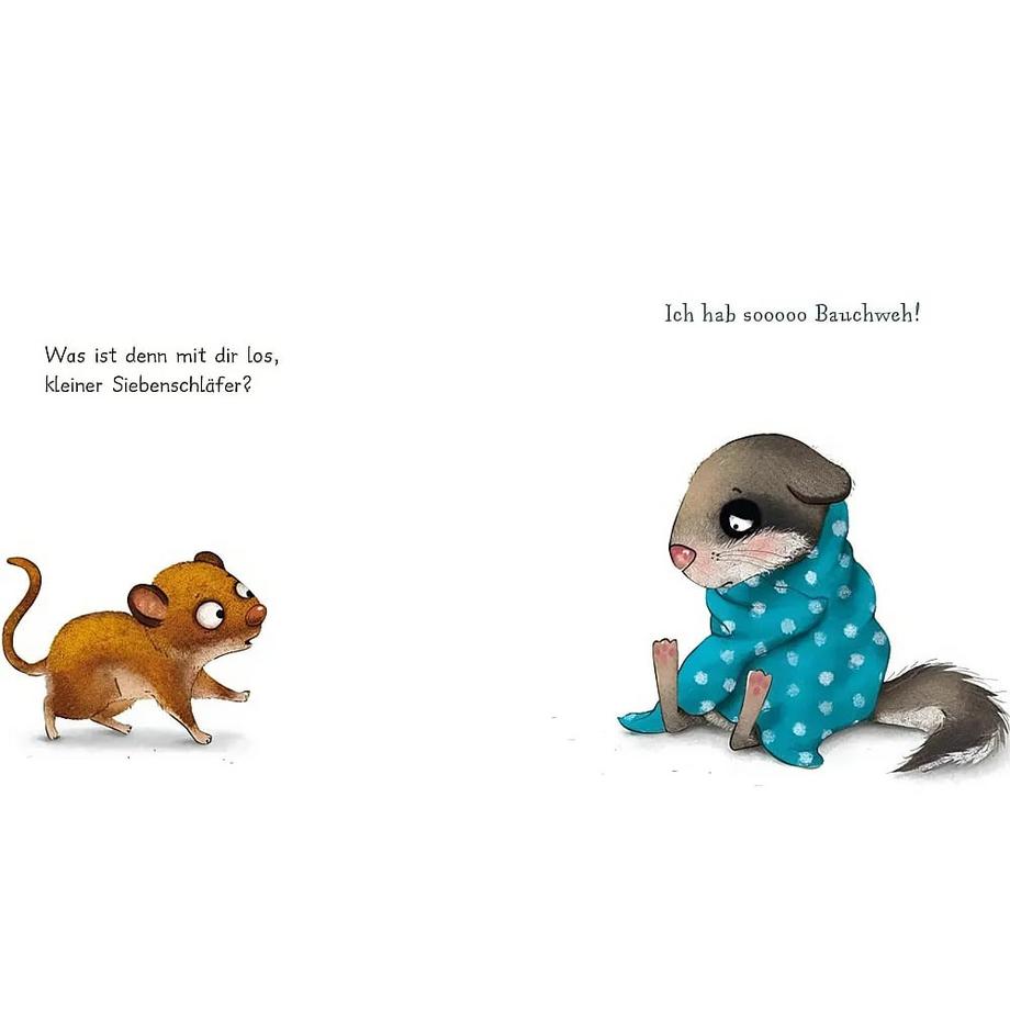 Der kleine Siebenschläfer: Gleich alles wieder gut X Couverture rigide 