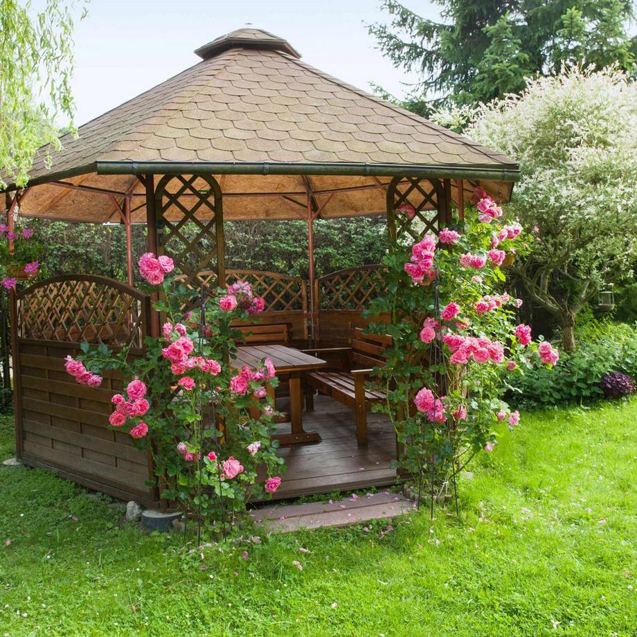 B2X Red Wine Aid - Set da 2  