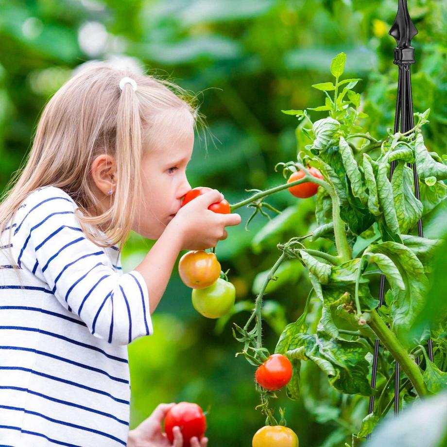 B2X Red Wine Aid - Set da 2  