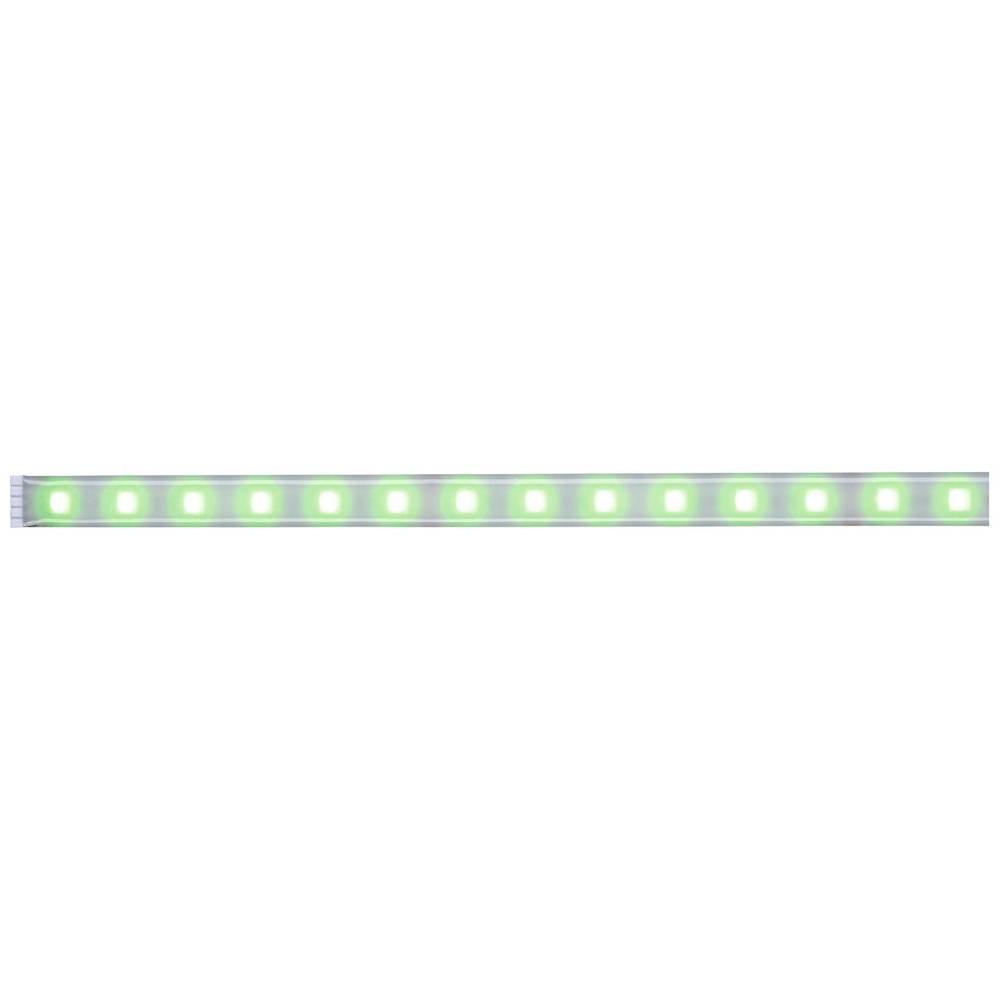 Paulmann MaxLED RGBW  Espansione striscia LED con spina 24 V 1 m RGB, Bianco caldo  