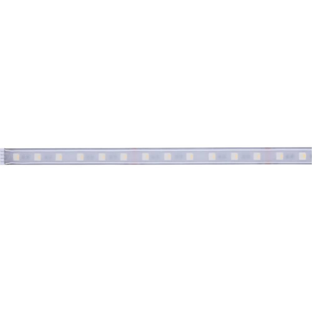 Paulmann MaxLED RGBW  Espansione striscia LED con spina 24 V 1 m RGB, Bianco caldo  