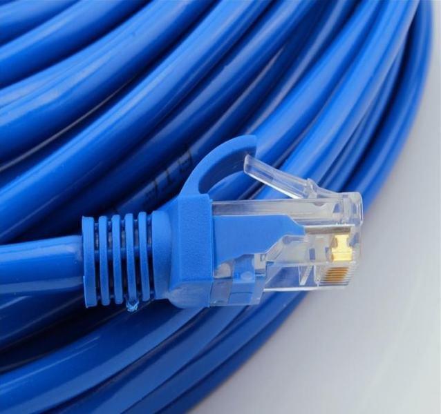 eStore  Cavo di rete/Ethernet Cat5e 1000 Mbps da 200 cm - blu 