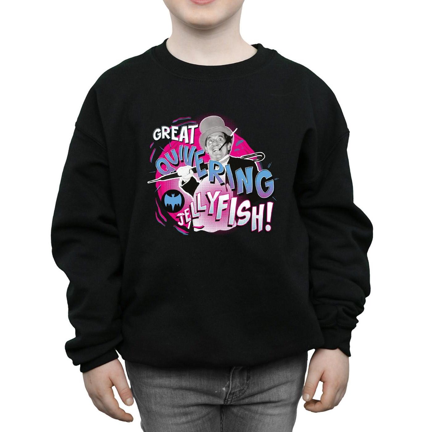 DC COMICS  Sweatshirt 