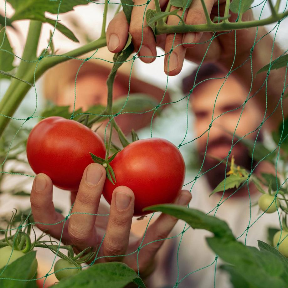 B2X Rete a traliccio 200 x 250 cm set da 4  