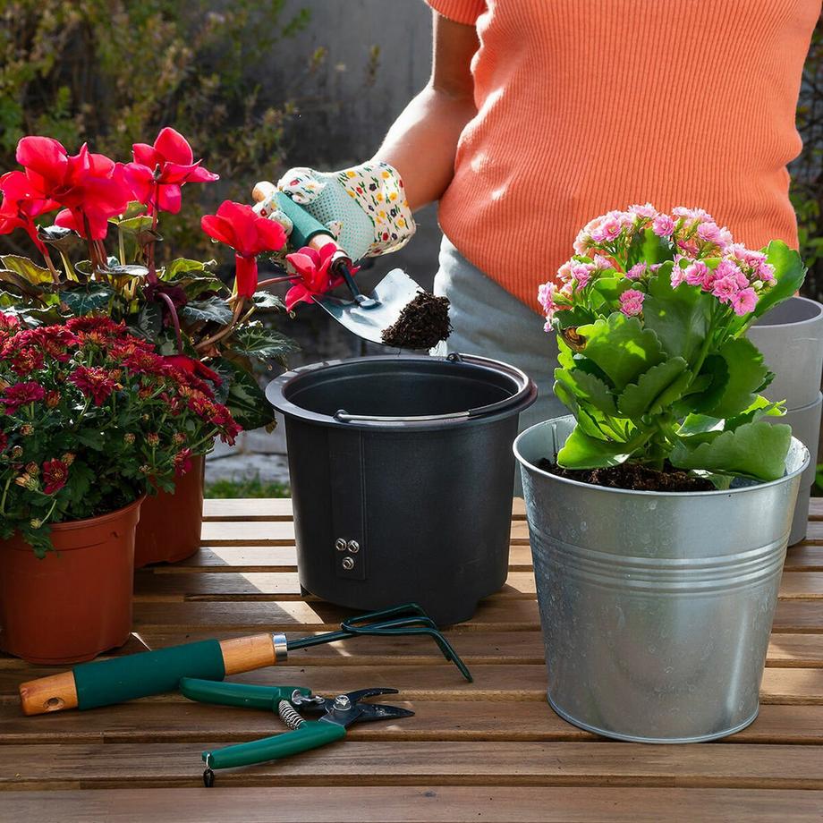 InnovaGoods Composteur de cuisine électrique Ewooster InnovaGoods  