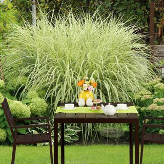 Northix Table de jardin carrée effet bois  