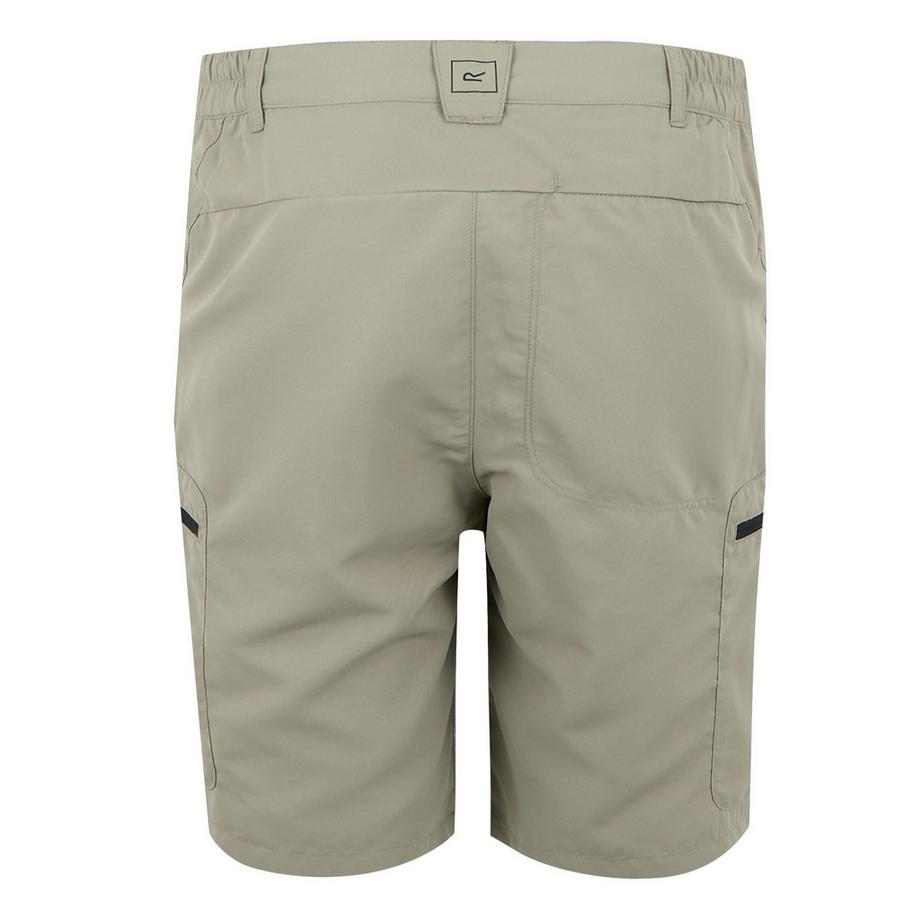 Regatta  Leesville Iii Shorts 