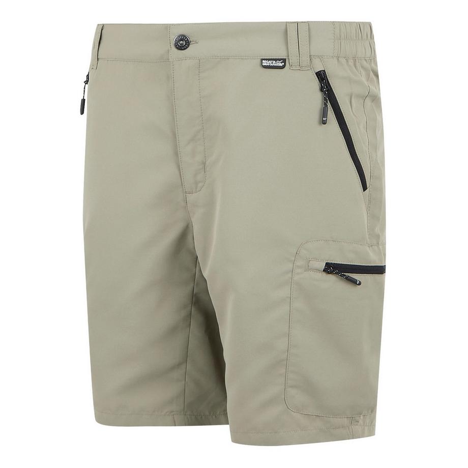 Regatta  Leesville Iii Shorts 