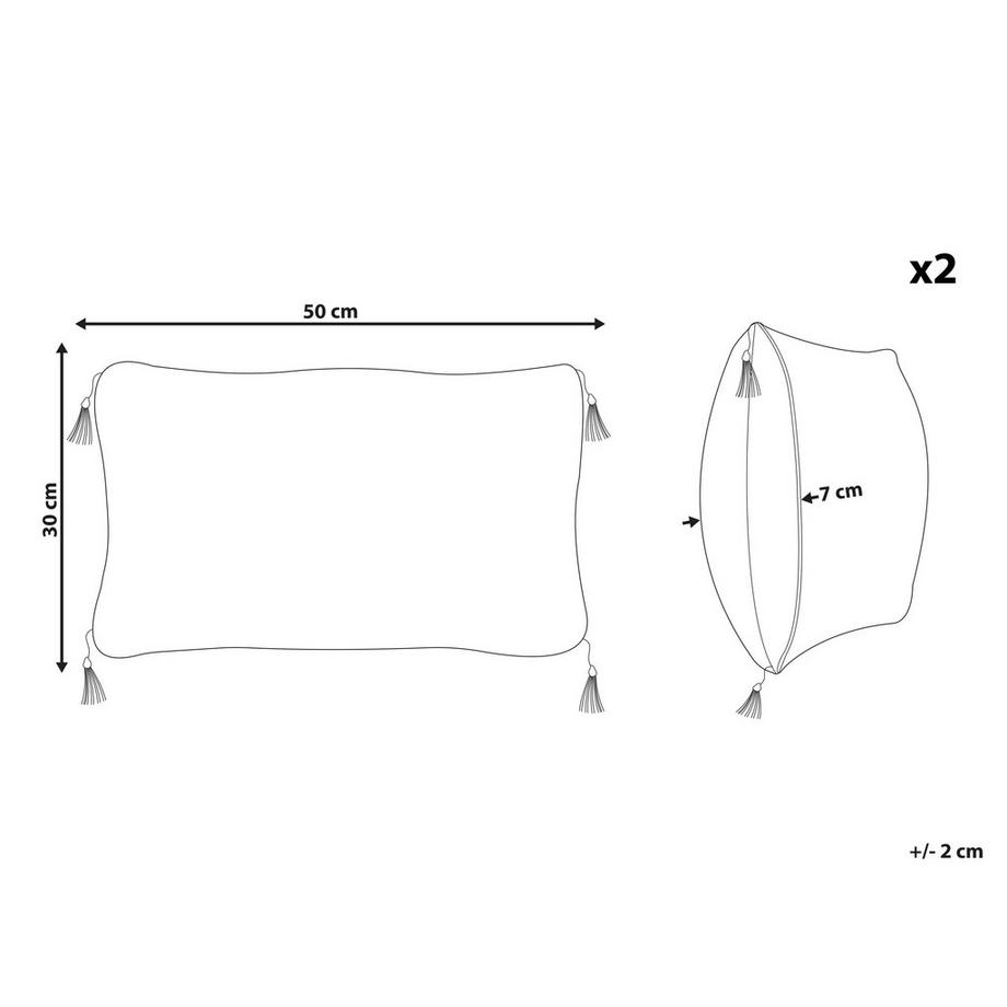Beliani Dekokissen 2er Set aus Polyester Modern LIRIOPE  