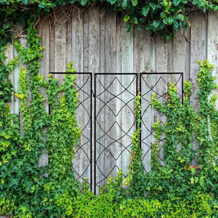 B2X Set di 3 supporti per arrampicata in metallo  