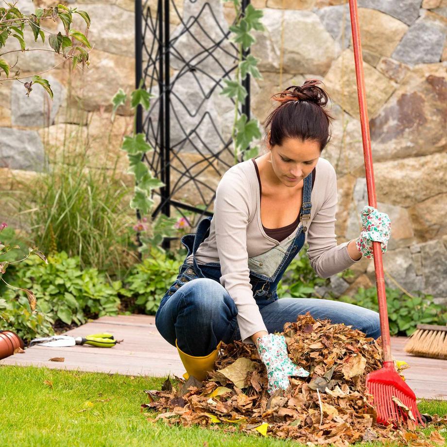 B2X Set di 3 supporti per arrampicata in metallo  
