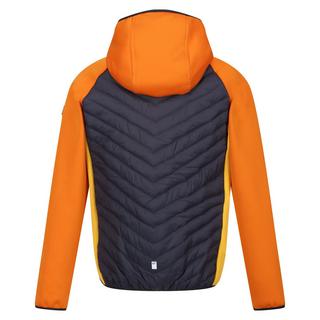 Regatta  Veste matelassée KIELDER HYBRID Enfant 