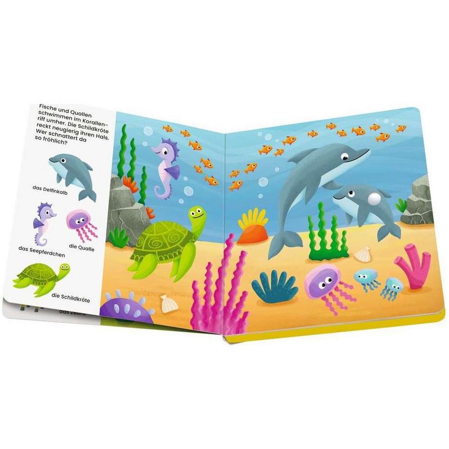 Ravensburger Play+ Mein allererstes Soundbuch: Tierkinder (Sachen suchen und hören) Höck, Maria; Dynamo Limited (Illustrationen) Couverture rigide 