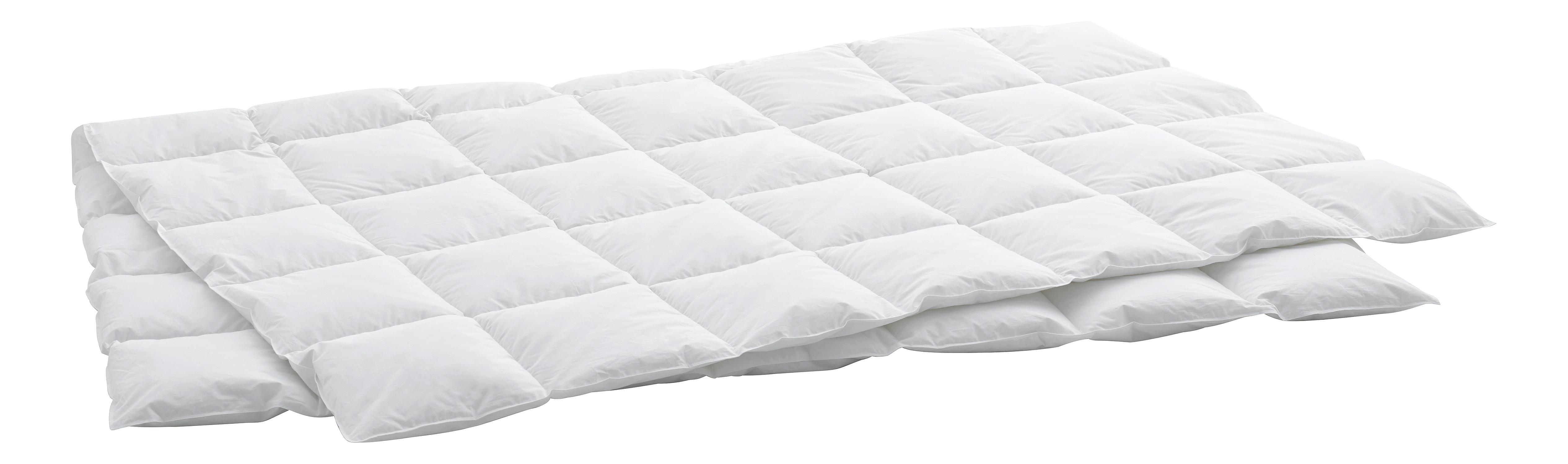 Swiss Dream Duvet Caro Light Classic 90  