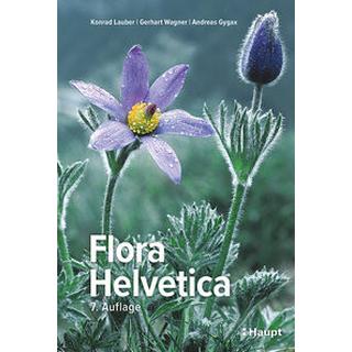 Flora Helvetica - Illustrierte Flora der Schweiz Lauber, Konrad; Wagner, Gerhart; Gygax, Andreas Copertina rigida 