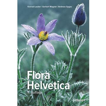 Flora Helvetica - Illustrierte Flora der Schweiz