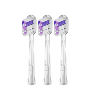 Laifen  Wave Têtes de brosse Ultra-Whitening (6 pc) 