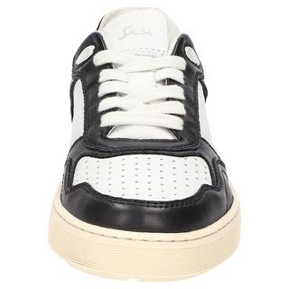 Sioux  Sneaker Tedroso-DA-700 