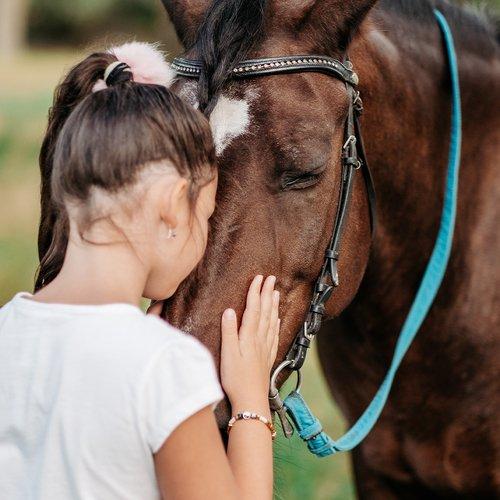 Image of Pferdegeschütztes Coaching (für 1 Person) Unisex