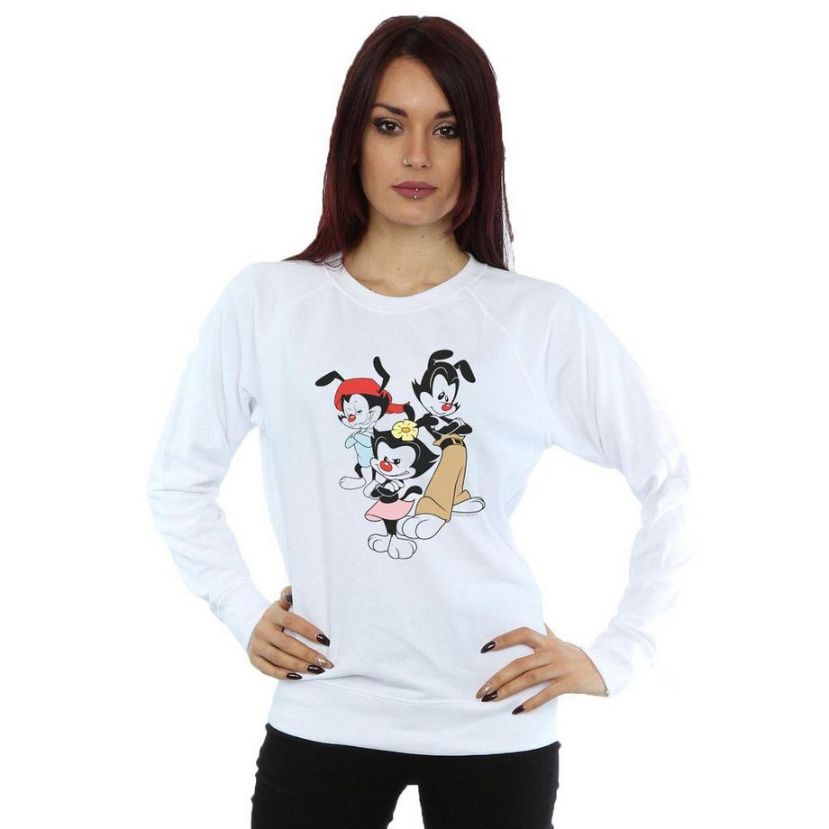 Animaniacs Sweatshirt Col Rond  