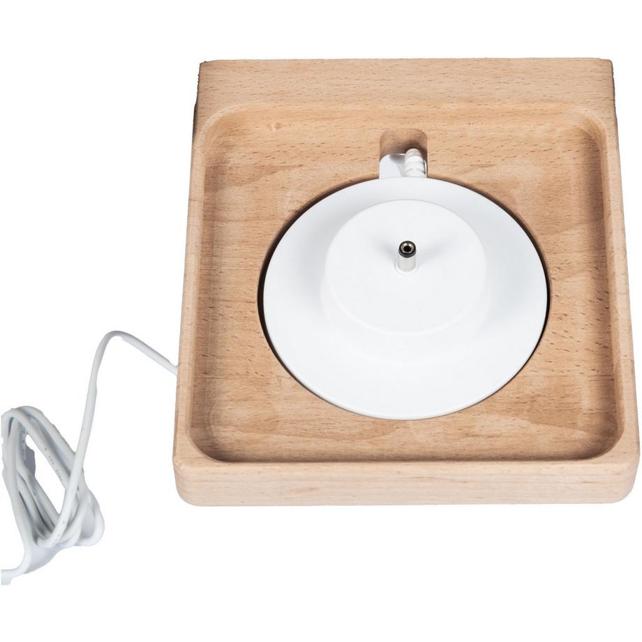 BOARTI Regal Dinosaurier Kinder Toniebox Tonies  