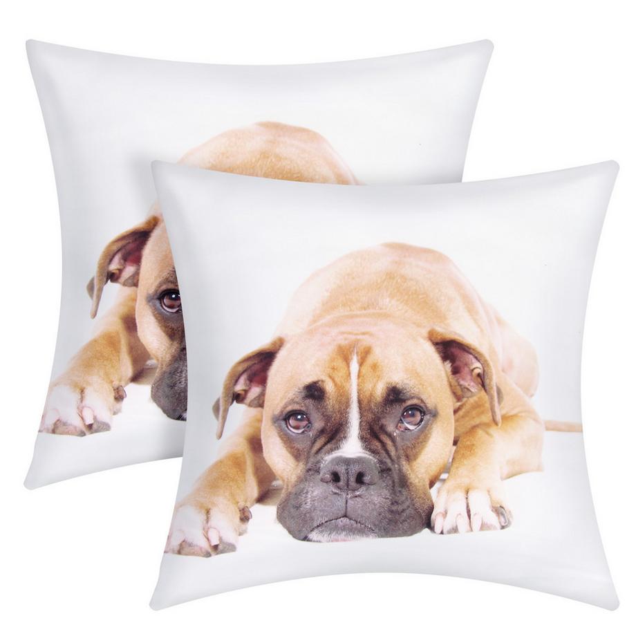 Avizar Lot 2 Housses de Coussin Chien Boxer  