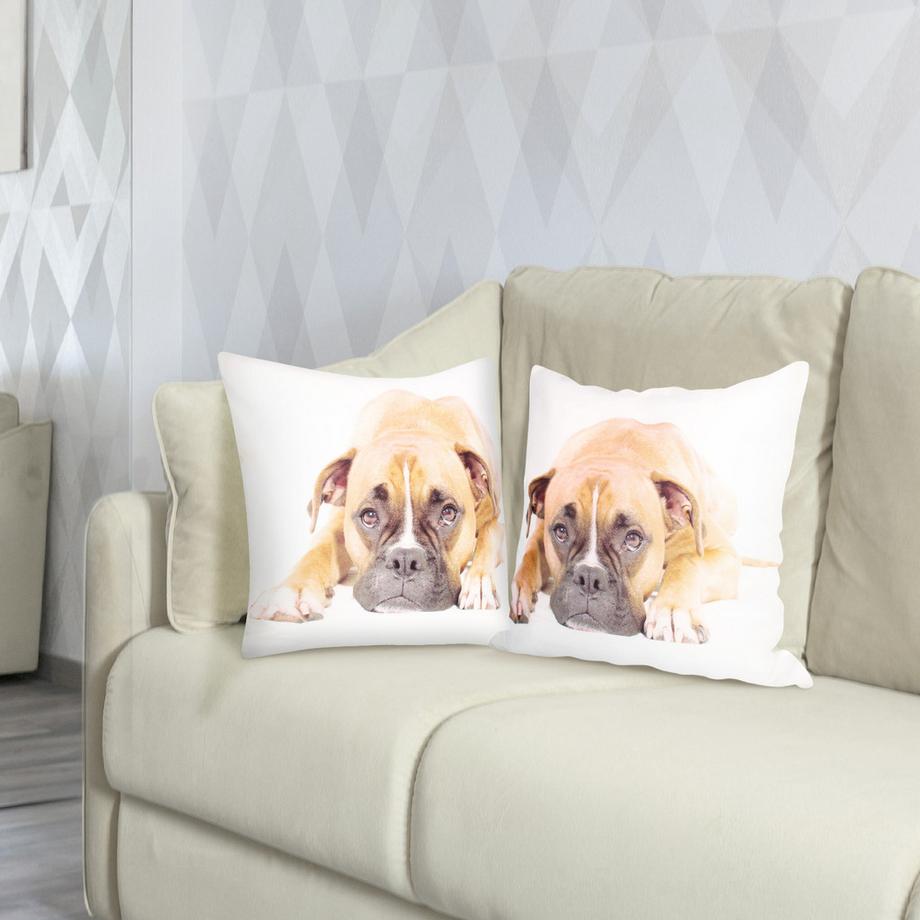 Avizar Lot 2 Housses de Coussin Chien Boxer  