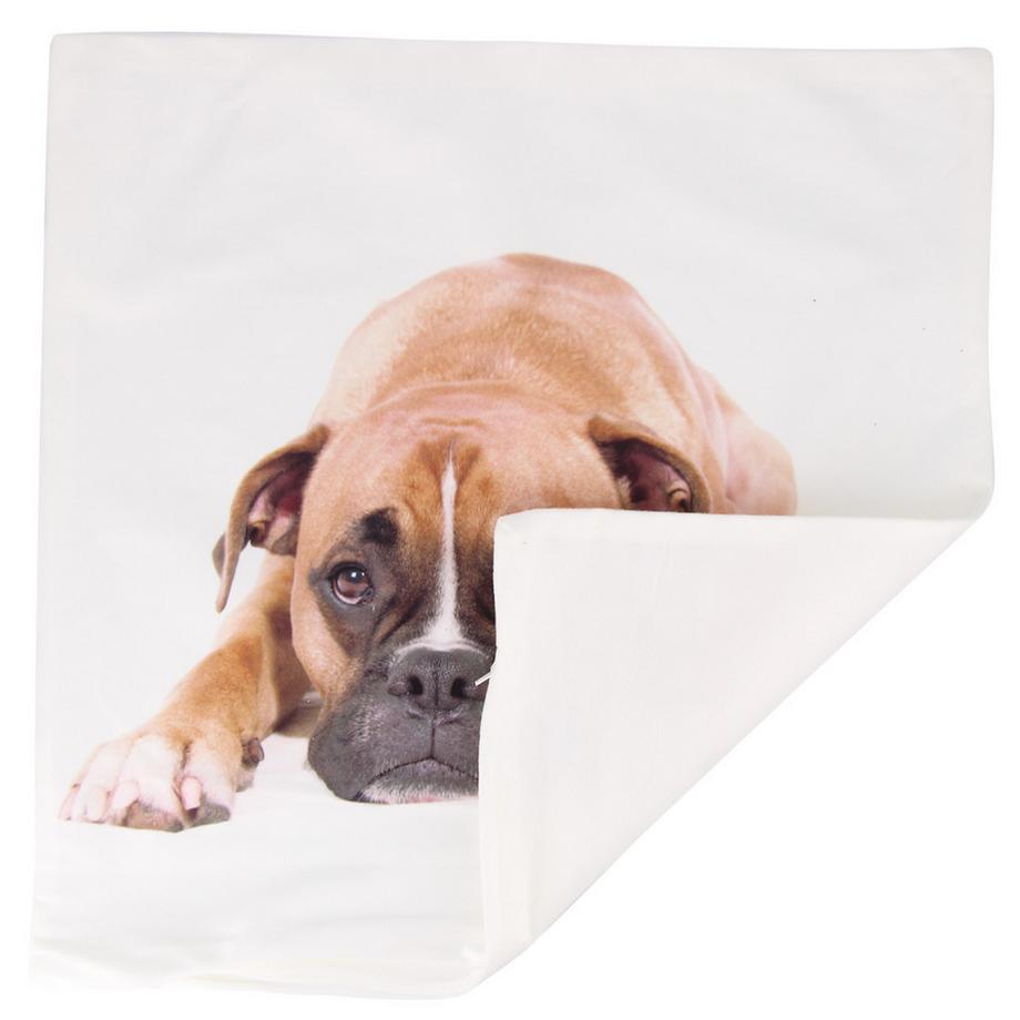 Avizar Lot 2 Housses de Coussin Chien Boxer  