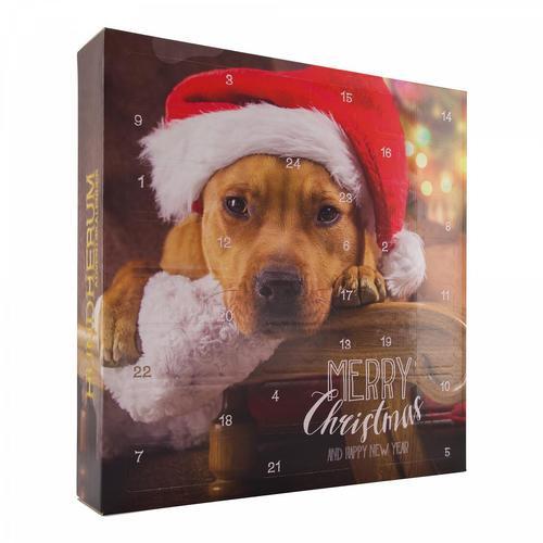 Geschenkidee Calendrier de l’Avent pour chiens  