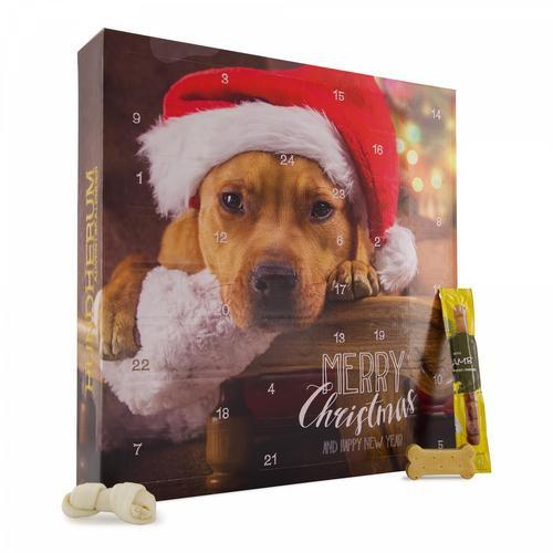 Geschenkidee Calendrier de l’Avent pour chiens  