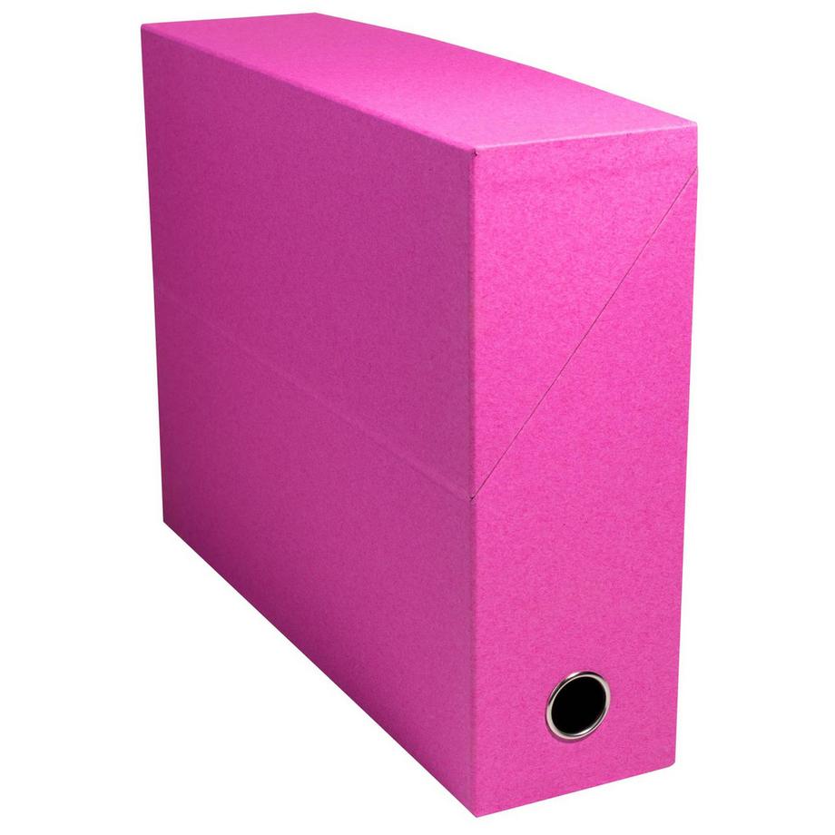 Exacompta Scatola per progetti dorso 90mm Salsa cartoncino - 25,5x34cm - x 5  