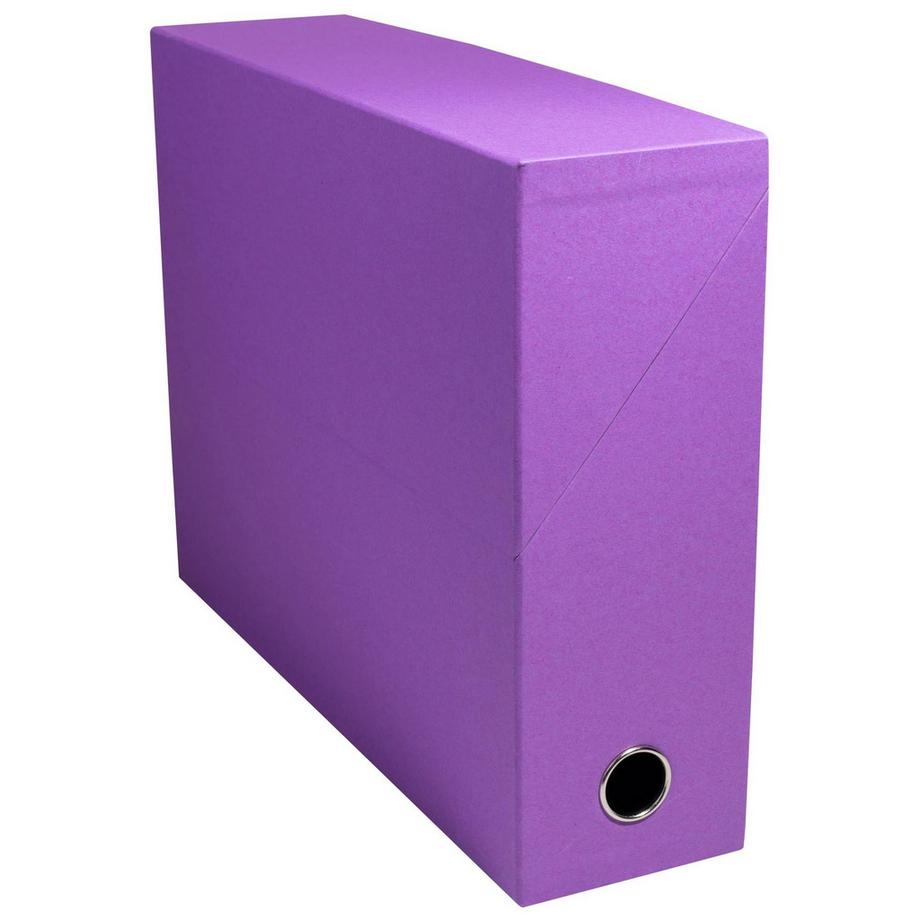 Exacompta Scatola per progetti dorso 90mm Salsa cartoncino - 25,5x34cm - x 5  