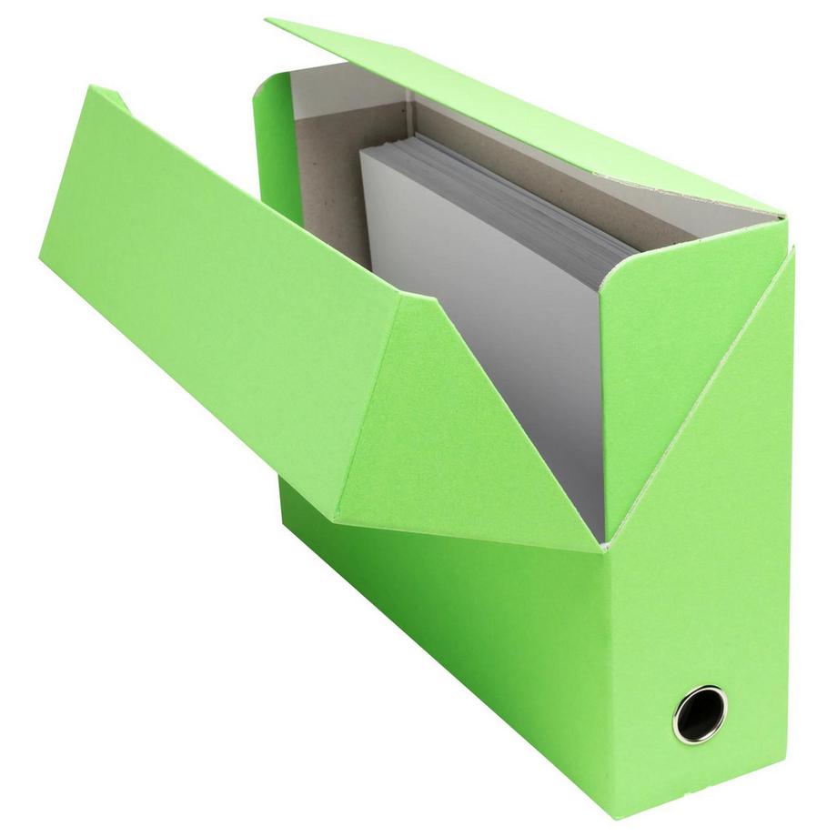 Exacompta Scatola per progetti dorso 90mm Salsa cartoncino - 25,5x34cm - x 5  