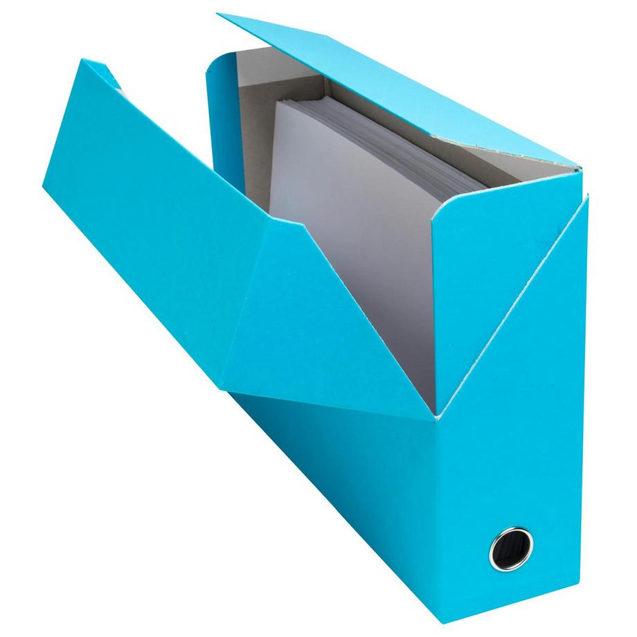 Exacompta Scatola per progetti dorso 90mm Salsa cartoncino - 25,5x34cm - x 5  