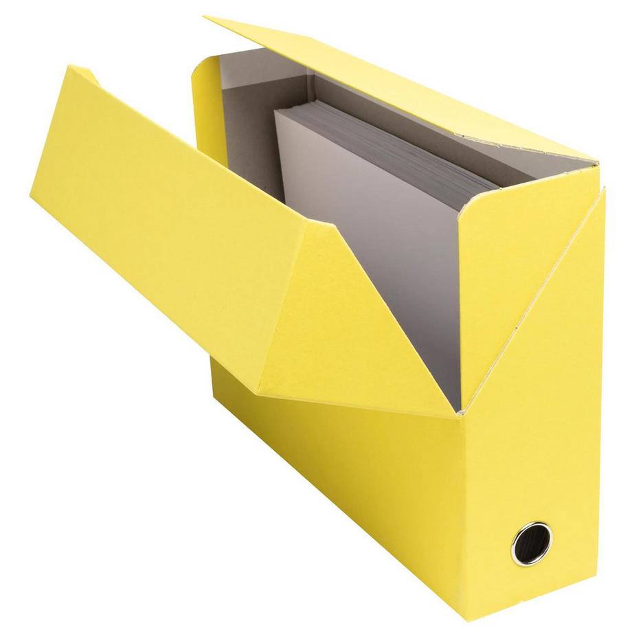 Exacompta Scatola per progetti dorso 90mm Salsa cartoncino - 25,5x34cm - x 5  