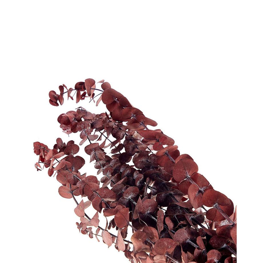 Beliani  Trockenblumenstrauss aus Trockenblumen Boho BADAJOZ 