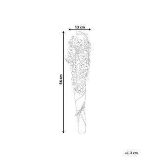 Beliani  Bouquet de fleurs séchées en Fleurs séchées Boho BADAJOZ 