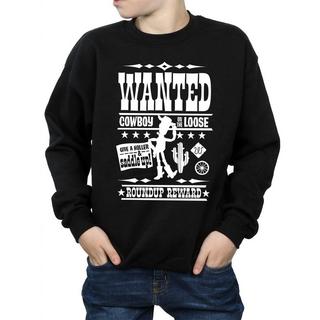 Disney  Toy Story Sweatshirt 