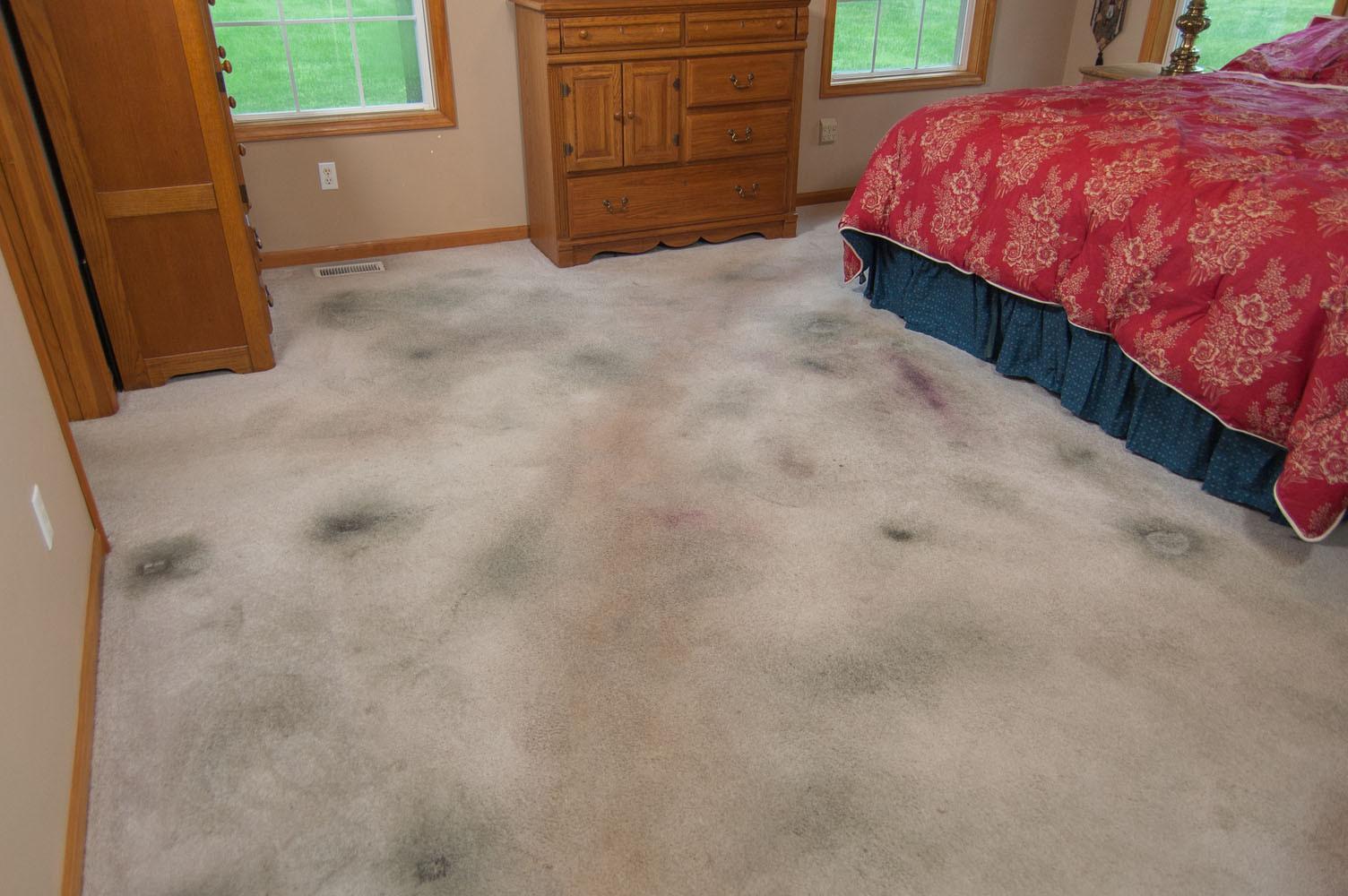 BEST DIRECT VIBRATWIN CARPET  RUG PAD - 1 accessorio per mocio Vibratwin per la pulizia di tappeti/moquette.  