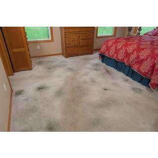 BEST DIRECT VIBRATWIN CARPET  RUG PAD - 1 accessorio per mocio Vibratwin per la pulizia di tappeti/moquette.  